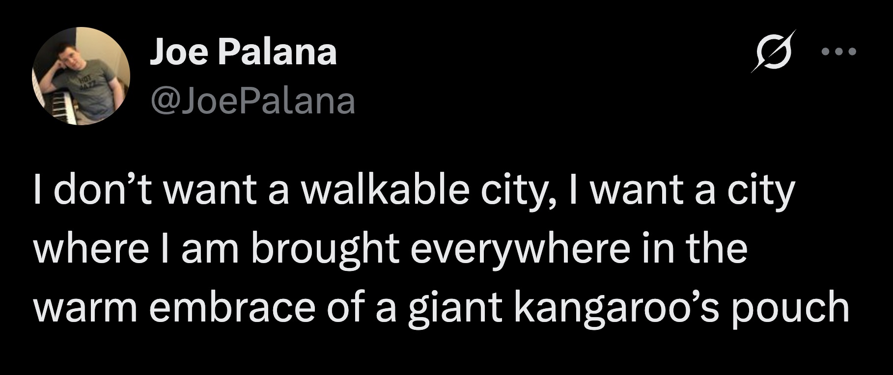 The perfect metropolis